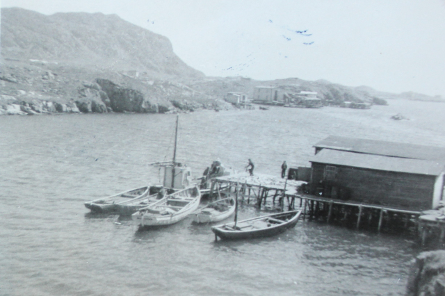 Best stage and boats.&amp;nbsp; Wareham's premises and government wharf on Soldiers Point in the background.